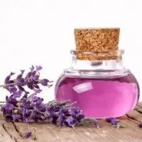 Lavender Oil