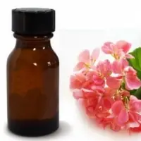 Geranium Oil Indian