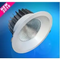 LED Down Light