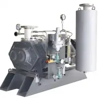 Dry Screw Vacuum Pump
