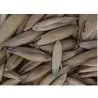Oats