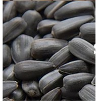 Sunflower Seeds