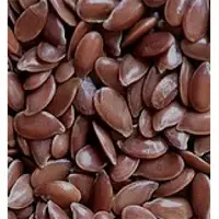 Flax Seeds