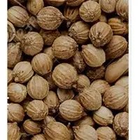 Coriander Seeds