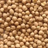 Chickpeas