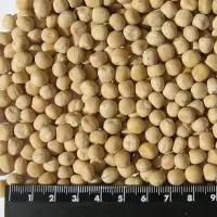 Whole Yellow Peas Crop 2020