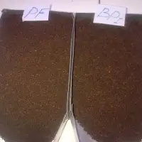 Black Tea