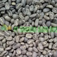 Java Preanger Green Bean