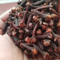 Clove