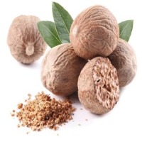Nutmeg Seed