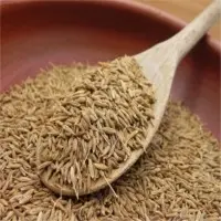 Cumin Seeds