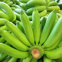 Fresh Cavendish Banana