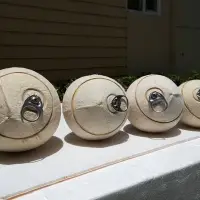 Polished Coconut