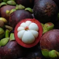 Mangosteen