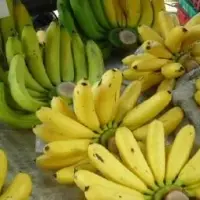Lady Finger Banana