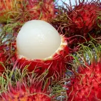 Rambutan