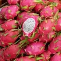 Fresh Dragon Fruit