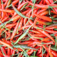 Red Chilli