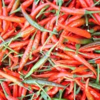Red Chilli