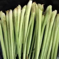 Lemongrass