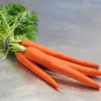 Baby Carrot