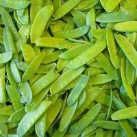 Snow Pea