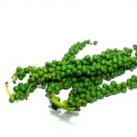 Green Pepper