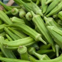 Young Okra