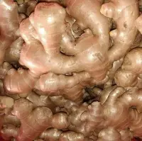 Fresh Ginger