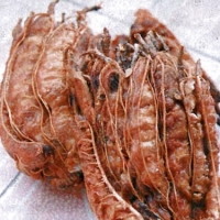 Sour Tamarind With Seed