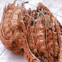Sour Tamarind With Seed