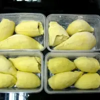 Frozen Durian