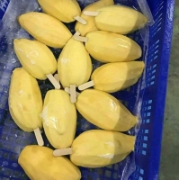Frozen Mango
