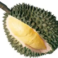 Durian Monthong