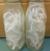 Fresh Coconut Water