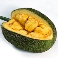 Jackfruits