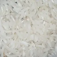 White Rice