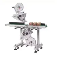 Automatic Top And Bottom Labeler NLW-300