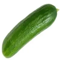 Vegetable Seeds