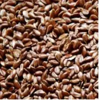 Flax Seed