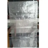 WPP Transparent Normal Bags