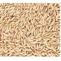 Oats