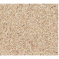 Sorghum White