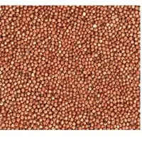 Sorghum Red