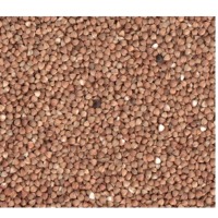 Buckwheat Roasted Kernel