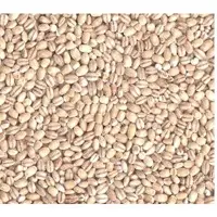 Pearl Barley