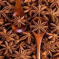 Star Anise