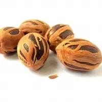 Nutmeg