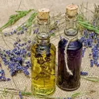 Lavender Oil