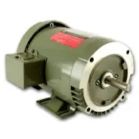 Electronic motor